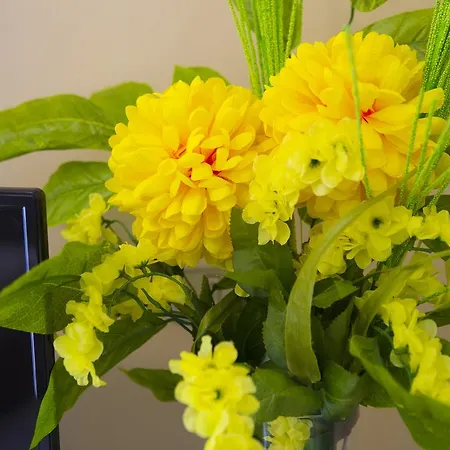 Nocleg ze śniadaniem Le Perle 3*