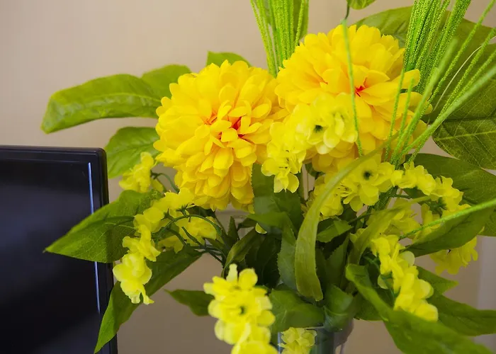 Bed & Breakfast Le Perle 3*